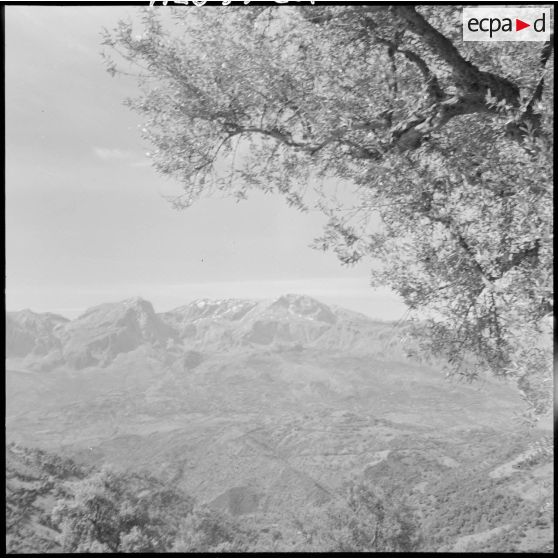 Grande Kabylie. Montagne.