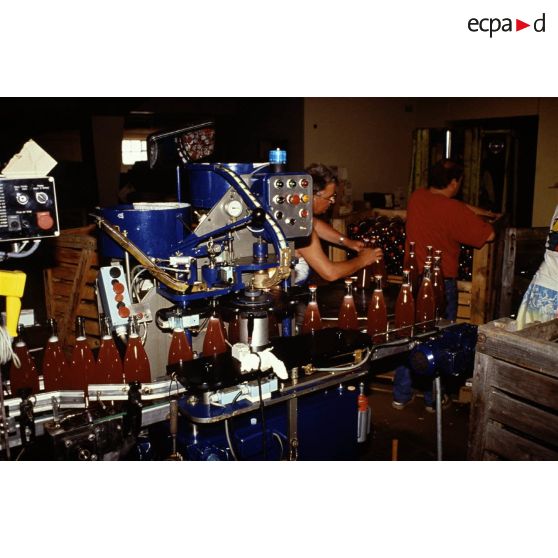 Alsace (68). Mise en bouteille mécanisée de jus de fruit.