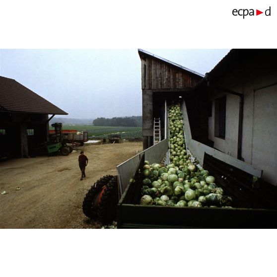 Monteux-le-Vieux (90). Choucrouterie.