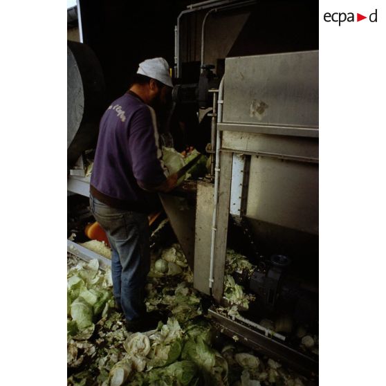 Monteux-le-Vieux (90). Choucrouterie.