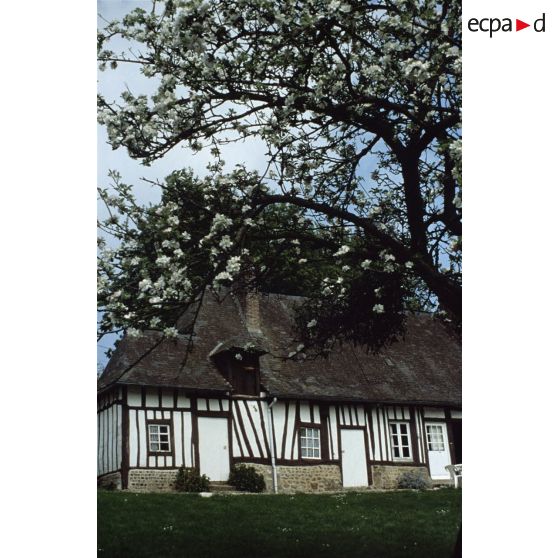 Beaumont-le-Hareng (76). Maison traditionnelle.
