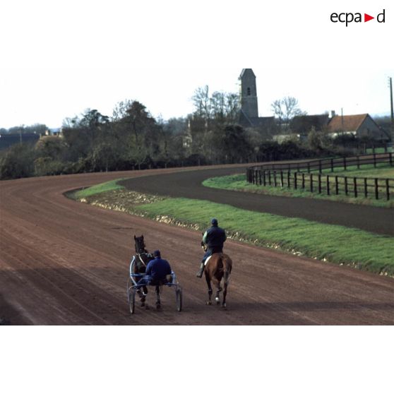 Houesville (50). Haras du Vivier : entraînement sur piste.