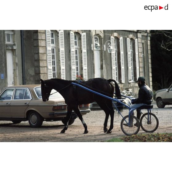 Houesville (50). Haras du Vivier : retour de l'entraînement.