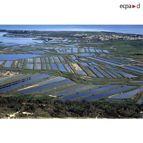 Ile de Ré (17). Marais salant à marée haute.