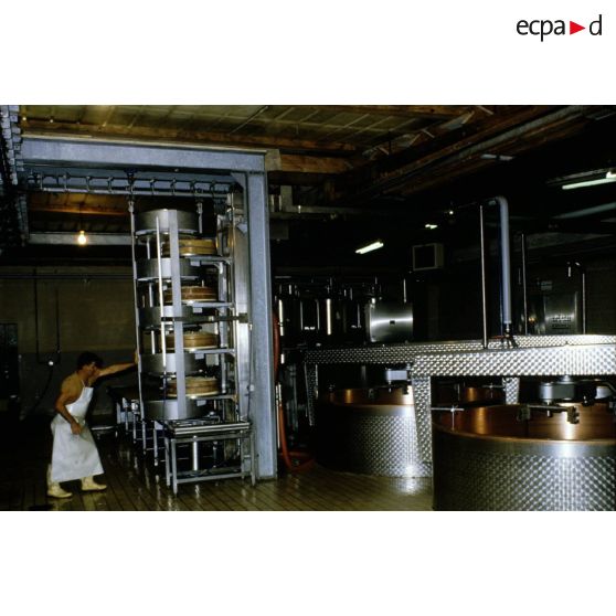 Moutiers (73). Fabrication de beaufort (fromages).