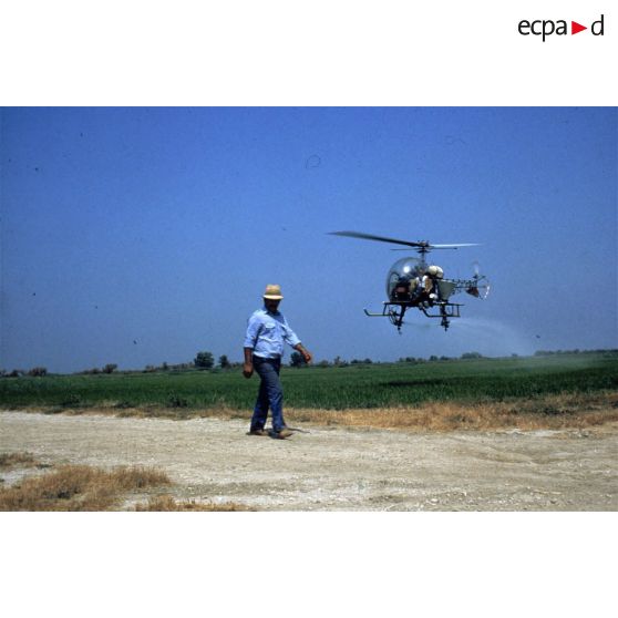 Camargue (13). Domaine de Méjanes. Epandage d'engrais sur rizière.