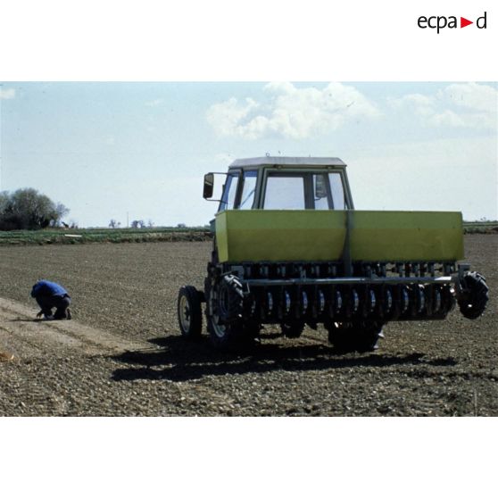 Camargue (13). Semoir en poquets pour le riz. Contrôle du bon fonctionnement.