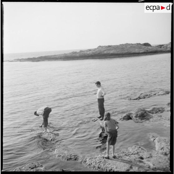 Alger. Commémorations du 13 Mai 1958. La population se détend à la plage.