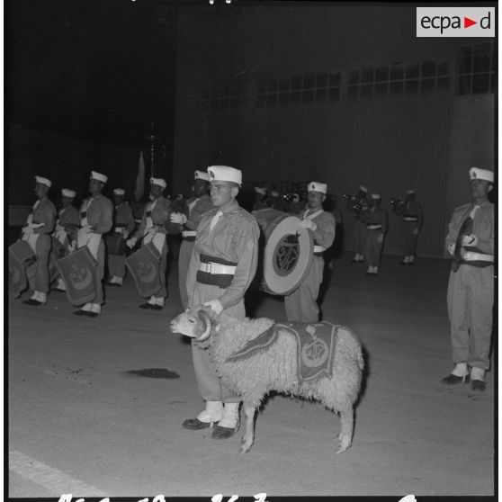 Sétif - Aïn Arnat. Un orchestre militaire avec leur mascotte : un mouton.