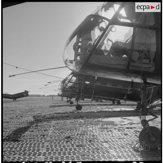 Setif - Aïn Arnat. Des hélicoptères Piasecki sur la base héliport Maréchal de Lattre.