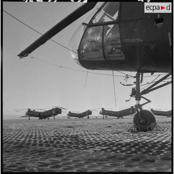Setif - Aïn Arnat. Des hélicoptères Piasecki sur la base héliport Maréchal de Lattre.
