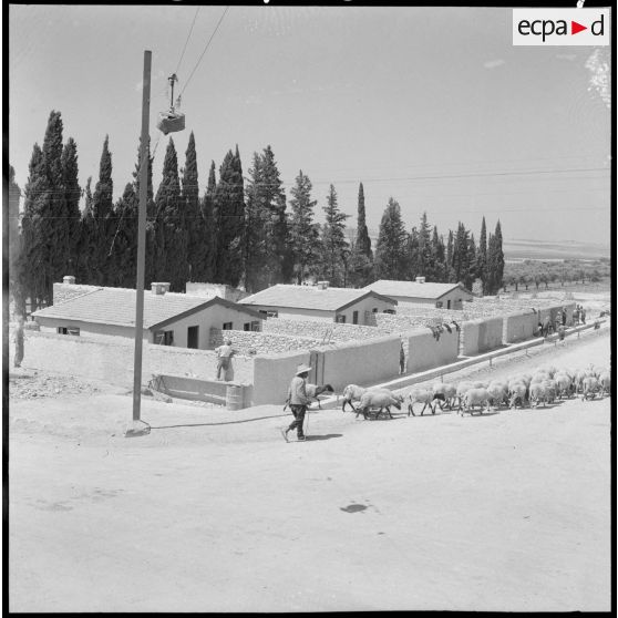 Centre de regroupement de Baudens. Vue d'ensemble des pavillons côté est.