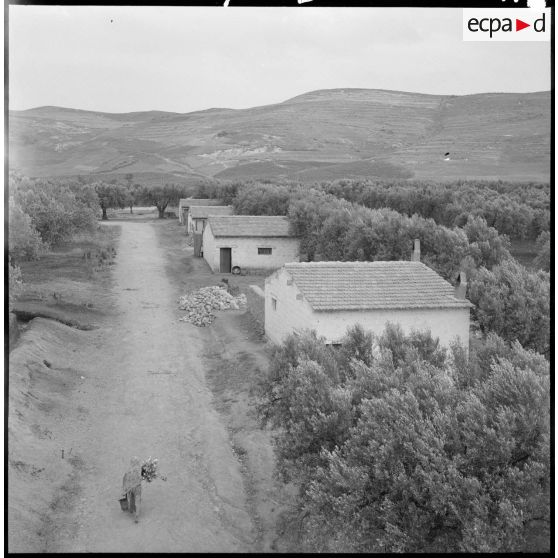 Centre de regroupement d'Ouled Ali. Rangée de maisons au bord d'une rue.