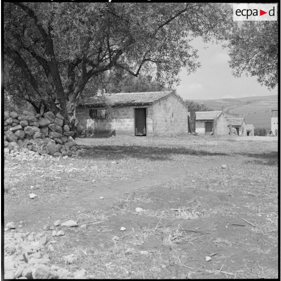 Centre de regroupement d'Ouled Ali. Rangée de maisons.