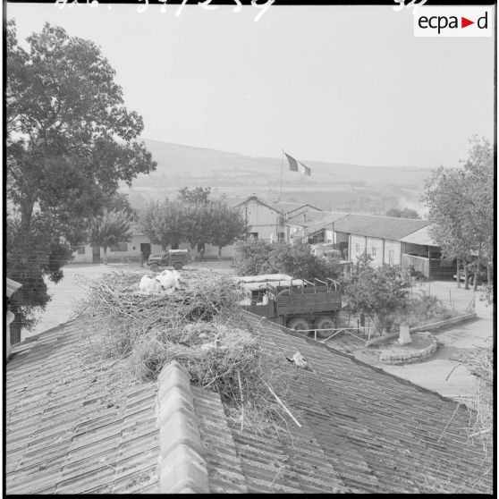 Tizi Ouzou. 3ème batterie du 2/93e régiment d'artillerie de montagne (RAM). Des cigogneaux habitués aux coups de canon.