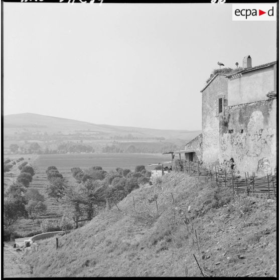 Tizi Ouzou. La 3ème batterie du 2/93e régiment d'artillerie de montagne (RAM) protège les cultures.