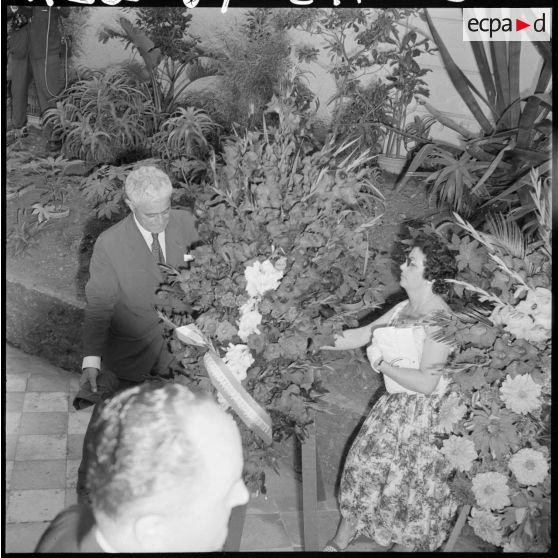 Alger. Commémoration de l'anniversaire de l'appel du 18 Juin 1940. Pose de la gerbe de fleurs par les anciens des Forces françaises libres (FFL).