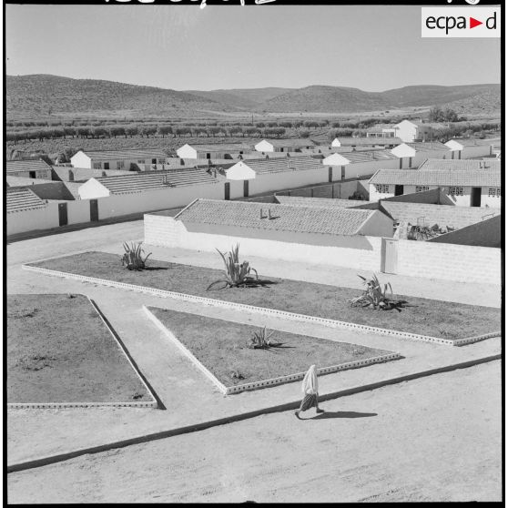 Centre de regroupement de Zelemta.