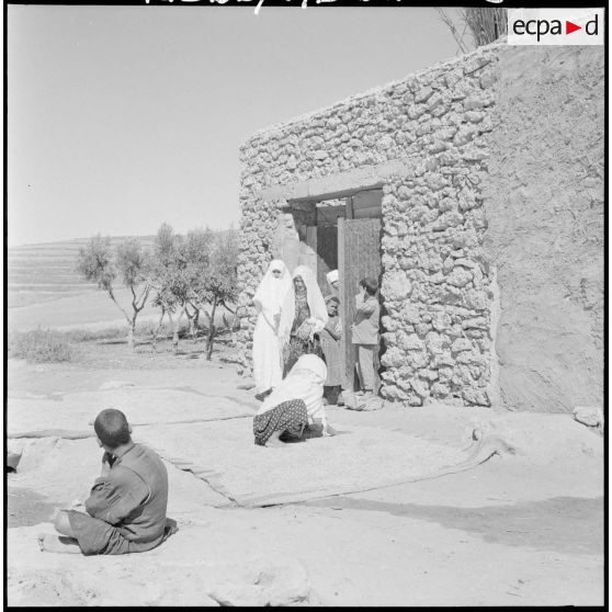 Centre de regroupement d'Aïn Fekan. Femme triant des graines.