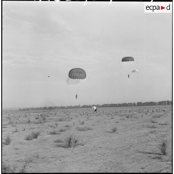 Dorsal et ventral ouverts, les prémilitaires viennent de sauter.