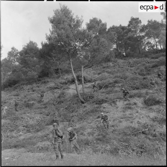 Progression du commando de chasse du secteur de Médéa au cours d'une opération.
