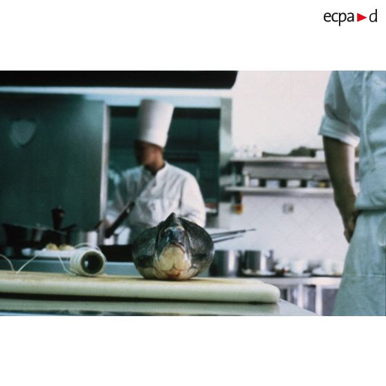 Montpellier (34). Restaurant Le Jardin des sens, la cuisine