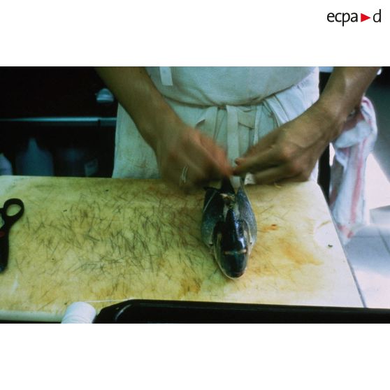 Montpellier (34). Restaurant Le Jardin des sens, la cuisine, préparation d'un poisson farci.