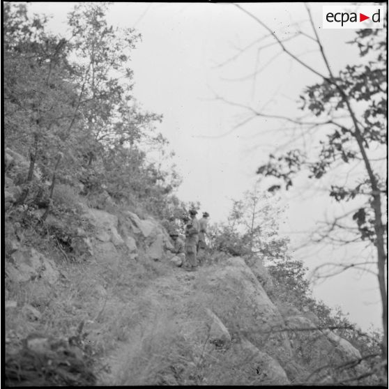 Vue de l'ouverture de la future piste dans le col de l'Akfadou.