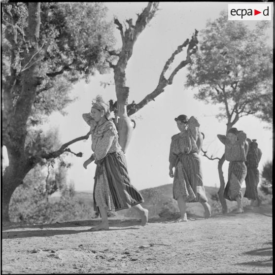 Un groupe de femmes qui transportent dans leur dos des jarres, sur une route de montagne.