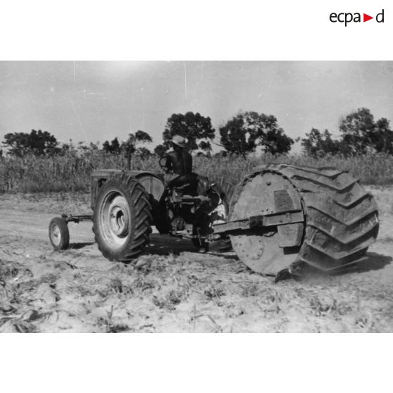 République du Sénégal, Sefa, 1954. Culture mécanisée de l'arachide. Passage de la débroussailleuse Pilter.