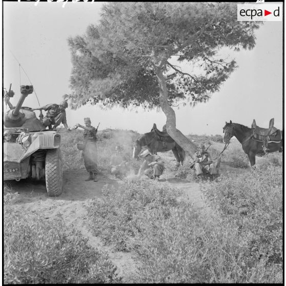 Projet d'affiche pour l'arme blindée et cavalerie (ABC).