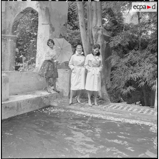 Présentation de la collection.