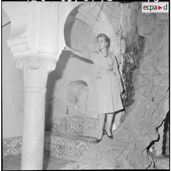 Présentation de la collection.