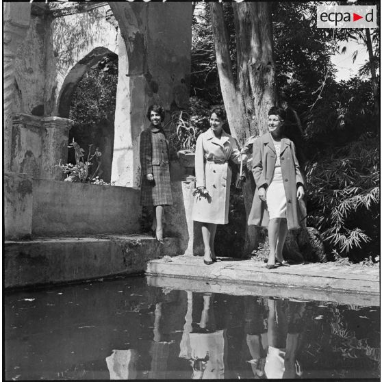 Présentation de la collection.