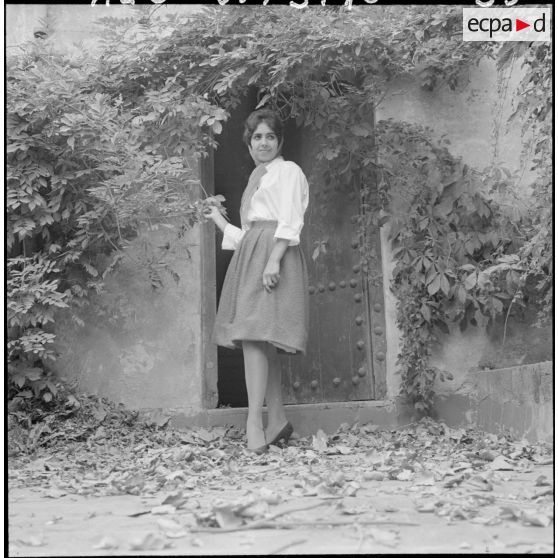 Présentation de la collection.