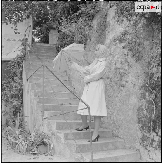 Présentation de la collection.