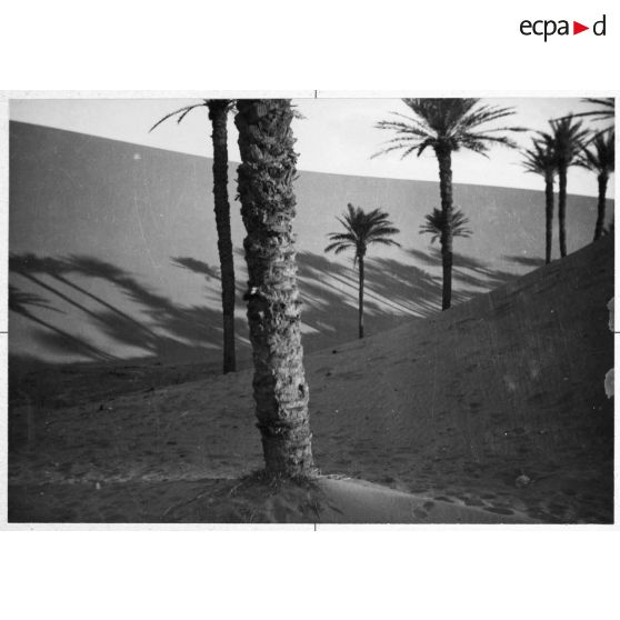 Algérie, Sahara, 1948. Dunes d'In Salah.