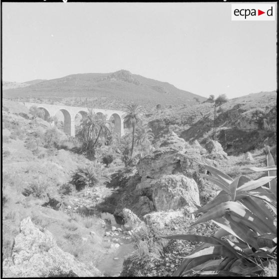 Jumelage des Vosges et du secteur de Guelma. La vallée de l'oued Skroun à Hammam Meskoutine.
