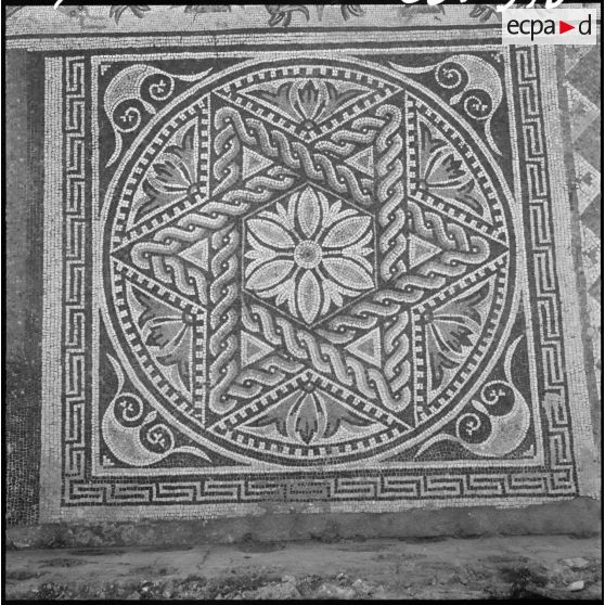 Mosaïque des ruines d'Hippone la royale, nom antique de la ville de Bône.