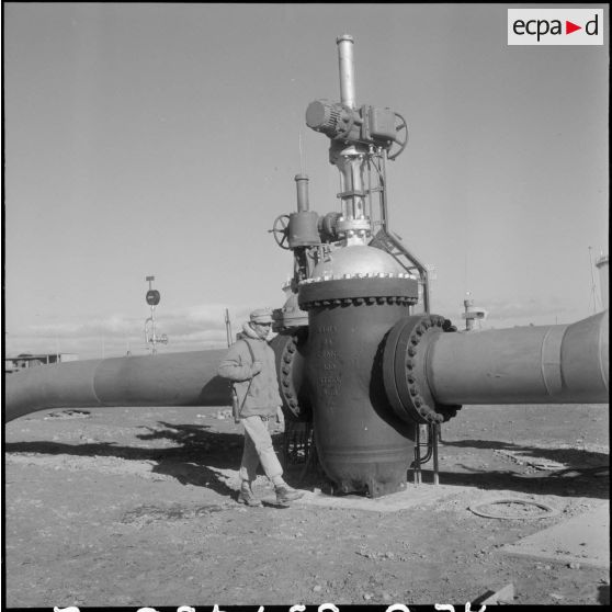 Protection par l'armée de l'oléoduc de M'Sila.