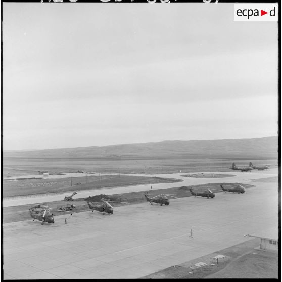 Hélicoptères de transport Sikorsky.