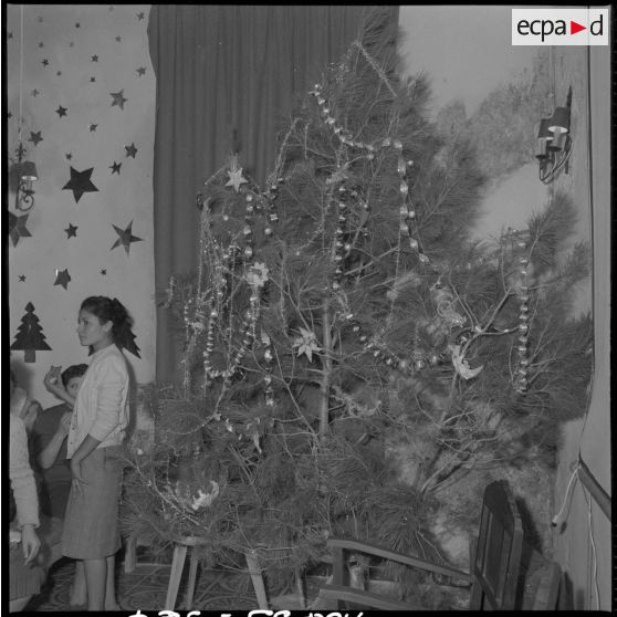 Alger. Cercle de la liberté. Arbre de noël.