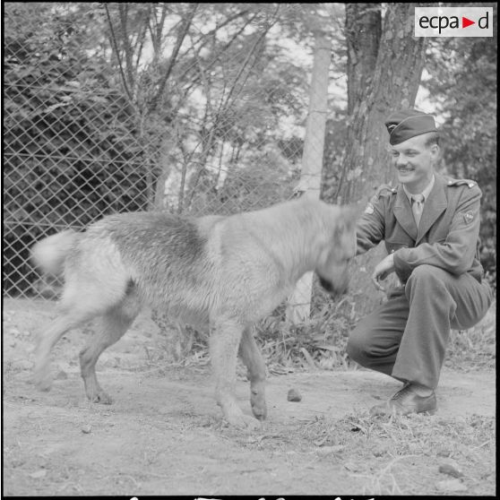 La 11e compagnie nomade et le 70e RG à Berrouaghia et Bouïra. [Description en cours]