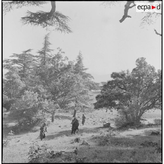 L'unité territoriale d'Alger en patrouille à Teniet el Haad. [Description en cours]