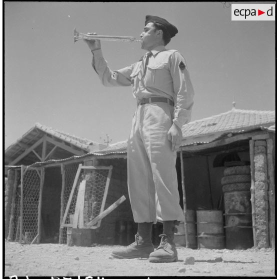 La 1re compagnie muletière et de transport. [Description en cours]