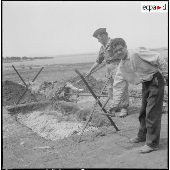 La 1re compagnie muletière et de transport. [Description en cours]