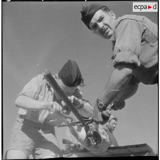 La 1re compagnie muletière et de transport. [Description en cours]