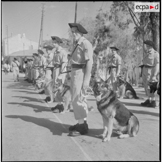 Le 159e BIA à Boghni. [Description en cours]