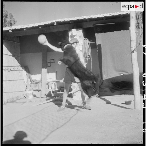 Le 159e BIA à Boghni. [Description en cours]