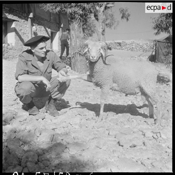 Le 159e BIA à Boghni. [Description en cours]